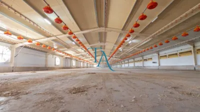 Finca rústica en venta en Cañaveral de Leon, Cañaveral de León de 1.000.000 €