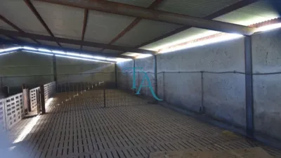 Finca rústica en venta en Cañaveral de Leon, Cañaveral de León de 1.000.000 €