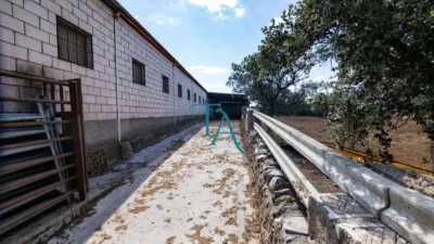 Finca rústica en venta en Cañaveral de Leon, Cañaveral de León de 1.000.000 €