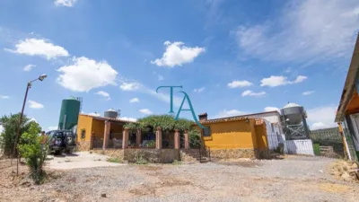 Finca rústica en venta en Cañaveral de Leon, Cañaveral de León de 1.000.000 €