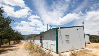 Finca rústica en venta en Cañaveral de Leon, Cañaveral de León de 1.000.000 €