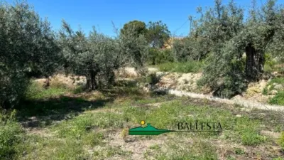Rustic farm in Santa María de Nieva photo 11