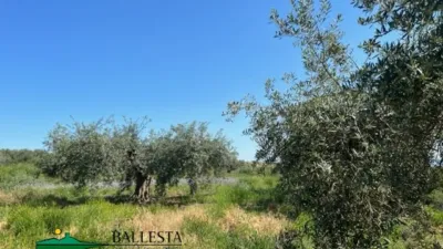 Rustic farm in Santa María de Nieva photo 12