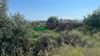 Rustic farm in Santa María de Nieva photo 14