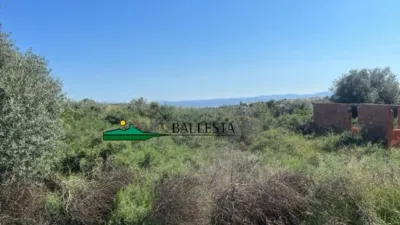 Rustic farm in Santa María de Nieva photo 17