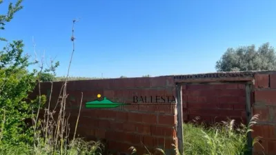 Rustic farm in Santa María de Nieva photo 3