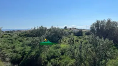 Rustic farm in Santa María de Nieva photo 4