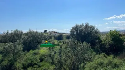 Rustic farm in Santa María de Nieva photo 5