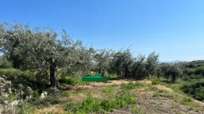 Rustic farm in Santa María de Nieva photo 7