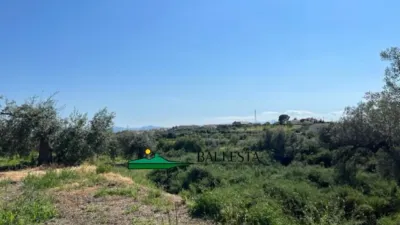 Rustic farm in Santa María de Nieva photo 8
