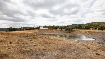 Rustic property in Cañaveral de Leon photo 2
