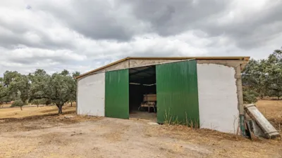 Rustic property in Cañaveral de Leon photo 4