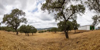 Rustic property in Cañaveral de Leon photo 5