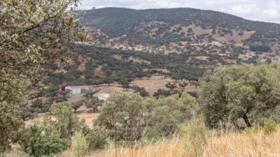 Rustic Finca in Cañaveral de Leon photo 11
