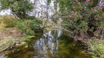 Rustic Finca in Cañaveral de Leon photo 12