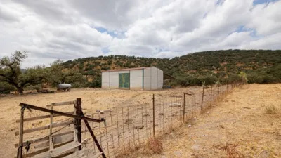Rustic Finca in Cañaveral de Leon photo 2
