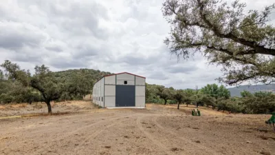 Rustic Finca in Cañaveral de Leon photo 3