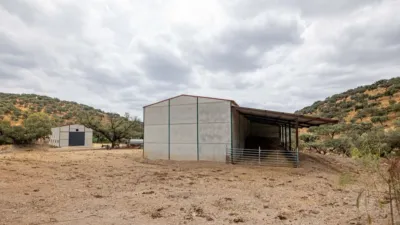 Rustic Finca in Cañaveral de Leon photo 4
