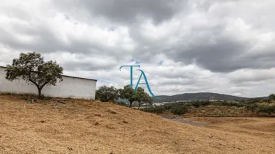 Rustic Finca in Cañaveral de Leon photo 3