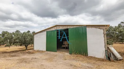 Rustic Finca in Cañaveral de Leon photo 4