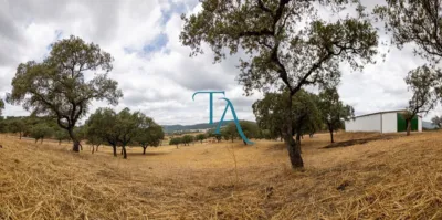 Rustic Finca in Cañaveral de Leon photo 5