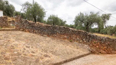 Rustic Finca in Cañaveral de Leon photo 3