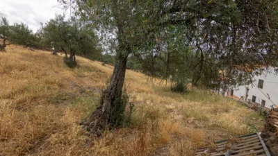 Rustic Finca in Cañaveral de Leon photo 6