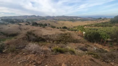Rustic farm in Alquería photo 13