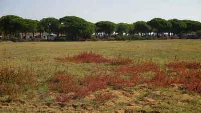 Rustic farm in El Chinarejo photo 10