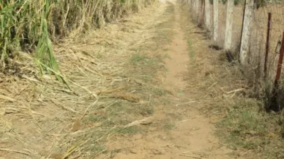 Rustic farm in El Chinarejo photo 14