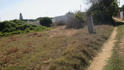 Rustic farm in El Chinarejo photo 2