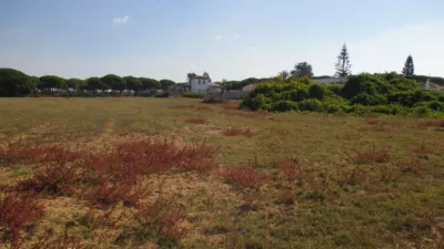 Rustic farm in El Chinarejo photo 3