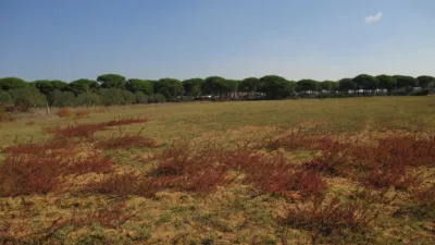 Rustic farm in El Chinarejo photo 4