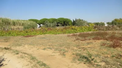 Rustic farm in El Chinarejo photo 5
