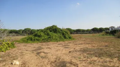 Rustic farm in El Chinarejo photo 7