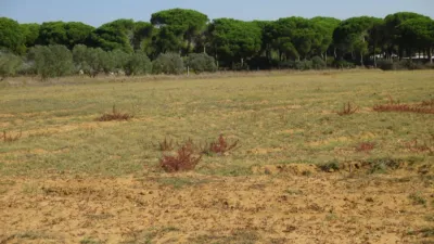 Rustic farm in El Chinarejo photo 9