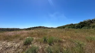 Terreno en venta en Campo - Vista 4