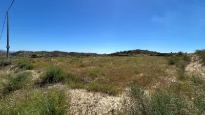 Terreno en venta en Campo - Vista 5