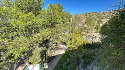 Chalet en Els Pontets photo 42