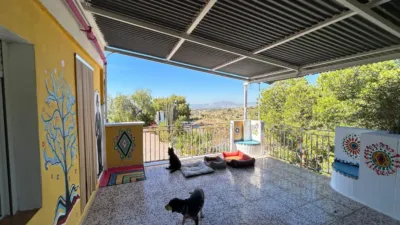 Casa – Crevillent, el Baix Vinalopó - Más