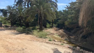 Rustic Finca in Campo photo 15