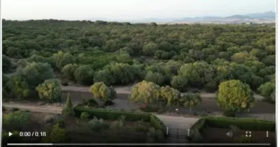 Rustic Finca in the Surrounding Area photo 3
