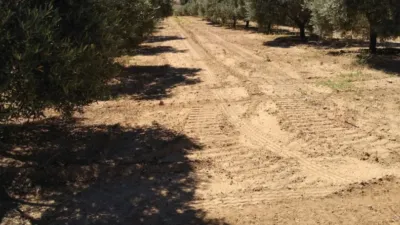 Rustic Finca in the Surrounding Area photo 4