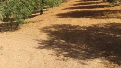 Rustic Finca in the Surrounding Area photo 9