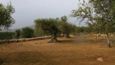 Rustic farm on Pla Sant Marti Street photo 10