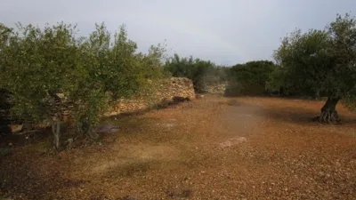Rustic farm on Pla Sant Marti Street photo 13