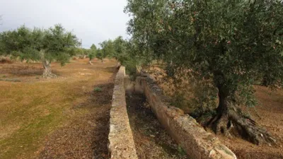 Rustic farm on Pla Sant Marti Street photo 15