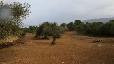 Rustic farm on Pla Sant Marti Street photo 20