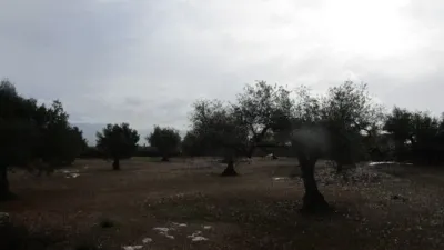 Rustic farm on Pla Sant Marti Street photo 21