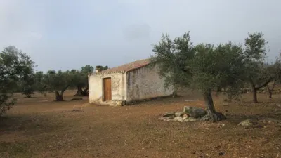 Rustic farm on Pla Sant Marti Street photo 22